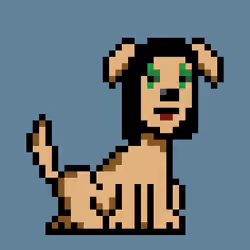 PunkDog #6045
