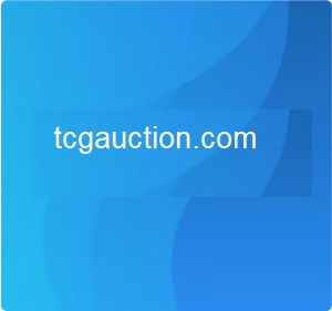 TCGauction.com  domain