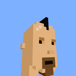PunkVoxels #0503