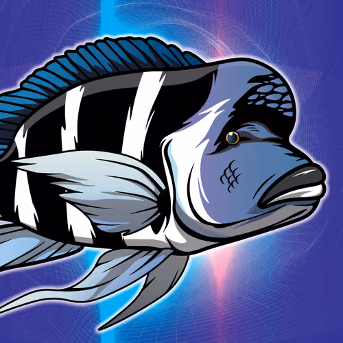 Item #99620656202236369670212750088610447773363779077513508929770885123258521223169 Media