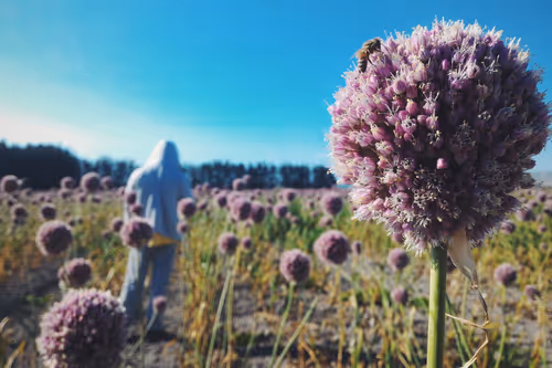 Item #62926577219448283413522388314720295785466049618898936279176375662803448496129 Media