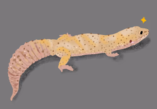 Item #104561290184458227069111393088658904779979346146682542828265975246894818918401 Media