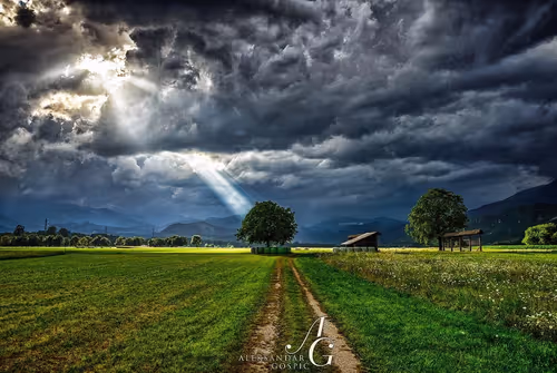 Item #65345487953311582179904319908136273825398030986349115812322284597431721000961 Media