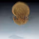113095112917363970096461126086702697016479753958062483493494123420424224112641