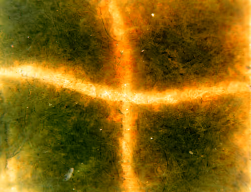 Item #71646257518770613568983710813551014237803002136866425209291834311067587051521 Media