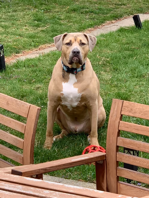 Item #87936365084545024922954846266013406485791365954799981050467889692689758683137 Media