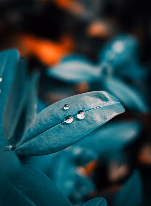 Item #103066555971611021134149055345018438449666255846358212838134356831193106743297 Media