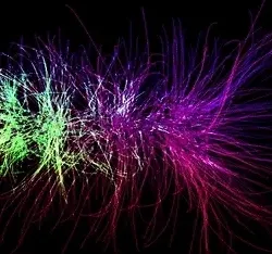 Electric Neon