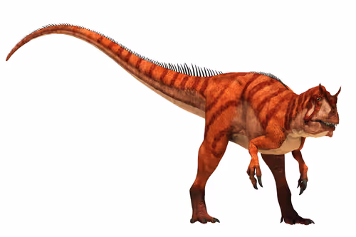 Item #15201862250514145958676777466825728141953005429687029988591517088689007099905 Media