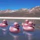 91691115337398541629795511424339668712636744842848977076507074910324007108609