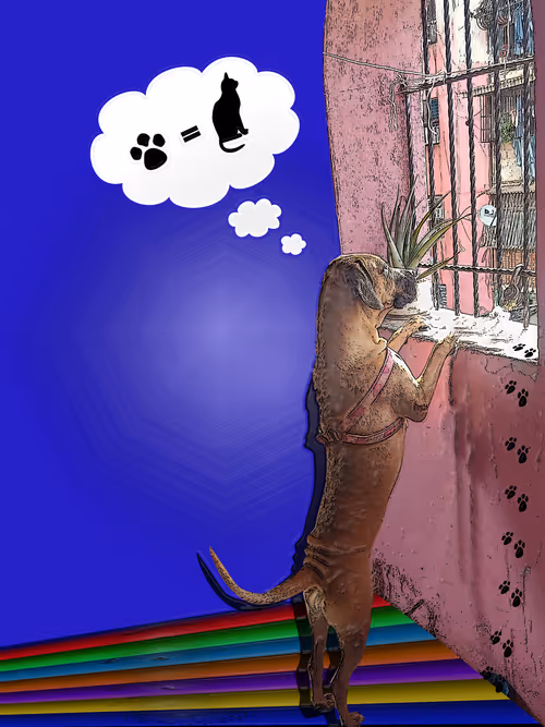 Item #110640578311561028274167129539522877682176249873734530385748779683865885147137 Media