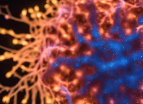 Item #98695163844141812296559601516468632585703412525772017875852753292348717268993 Media