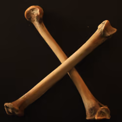 X - Chicken Bone Font