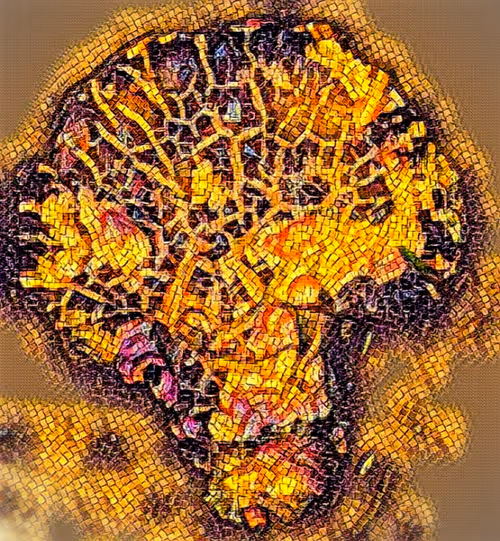 Item #80050559332347163335601971796963442430023304175303914027877321140665759826020 Media