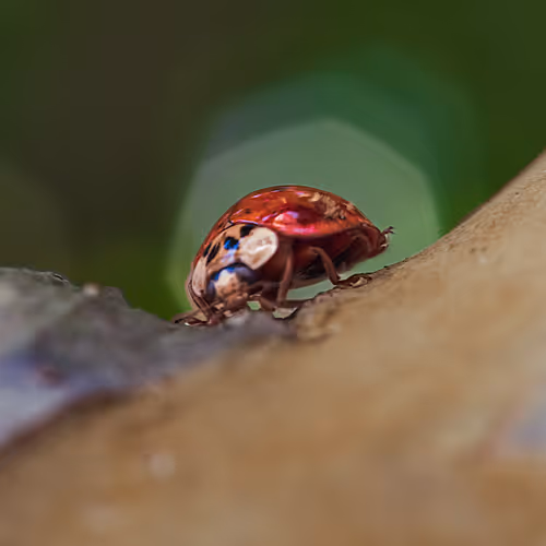 105090597216655980557633683149084672751347825439893935605656298048507655225345