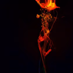 Aurorae #14