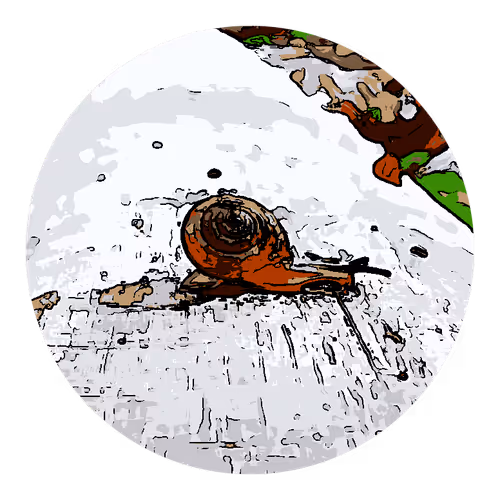 Item #73474911565276893363269127585336255498112534630235322163062143069955102343169 Media