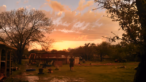 DennisAlanCryptoHomesteader Collection