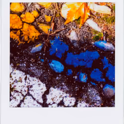 Polaroad #59 - Old Town Road