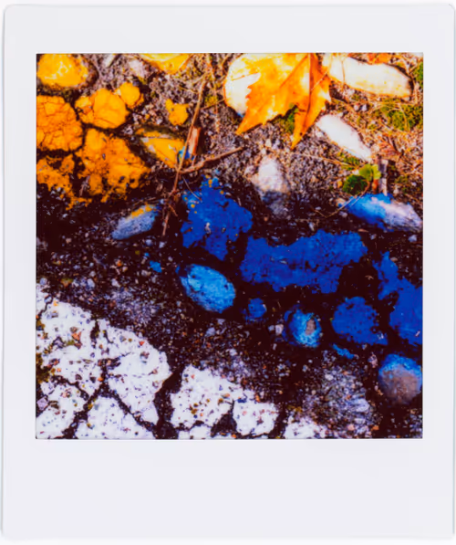 Item #51249984975833416757455642800469001937370100333322465523471565172885503868929 Media