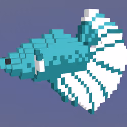 Halfmoon Teal Dragon Betta