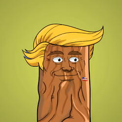 Donald Stump