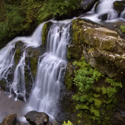 Steelhead Falls Landscape 1/1