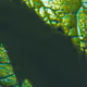 79700965190213631465969366334976302853895631560820597812440918487864057004033