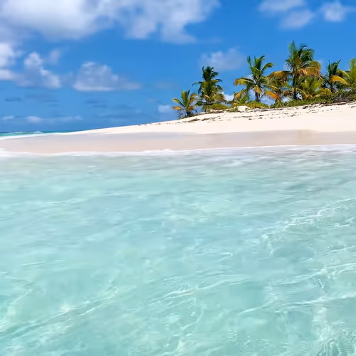 Item #21182267617506779564808976135633405362174435618791925445705395860607128829962 Media