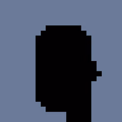 Void Phunk 4559