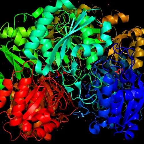 91021316162032165600416815327123039723532435279912438808296376723650748874753