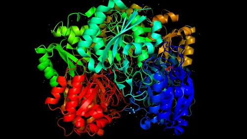 Item #91021316162032165600416815327123039723532435279912438808296376723650748874753 Media