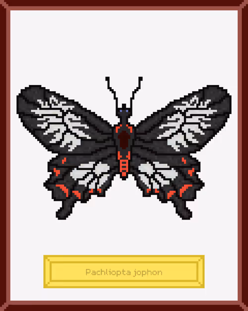 Item #99944933364211782028652678854730295040838579789766917923662069172056021270529 Media