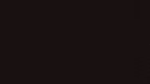 Item #63286489316362837262934672048351814730513494244334173611075142387228794159105 Media