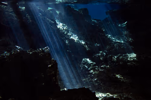 Item #25422583313571458459737529461820134862175223810011730482418987909049862848513 Media