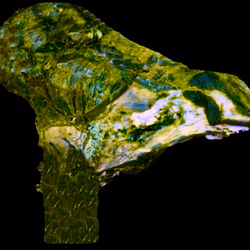 18063966590187803564983313972252836895288362682890717819958697137304743444481