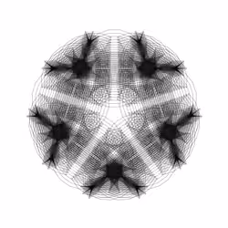 Black Fractal #558