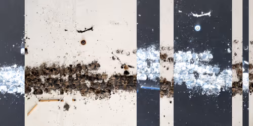 Item #86983489980507804727538311757004128201672067076815781922351967377293597212673 Media