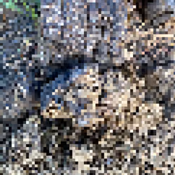 2850415134272365380187775685678842410458265265709128331682257499678700470273