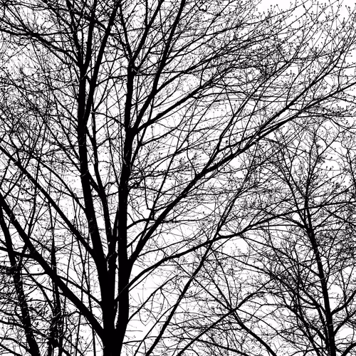 Item #35965218379738729691291467168286792303482134167127854404987491605377087176705 Media