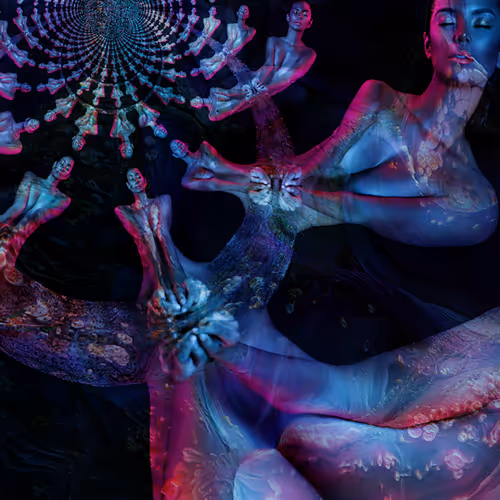 20702394107175279398907264085272313689779757564343325483176079584896382664705