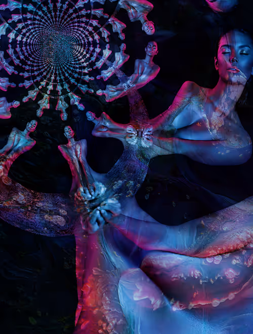 Item #20702394107175279398907264085272313689779757564343325483176079584896382664705 Media