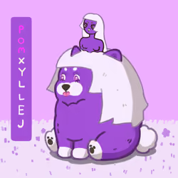 POM X XYLLEJ