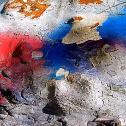 Face 19