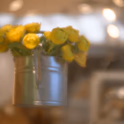 Flower V3