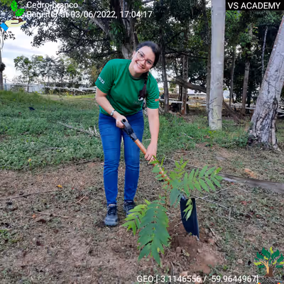 Item #8500196597889277390194123329501889087166328879864934763448348788531941867521 Media