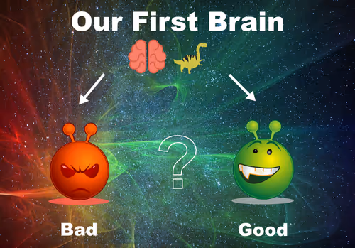 Item #22011121549275419571280005162583201259647590100896645758805712558103212326913 Media