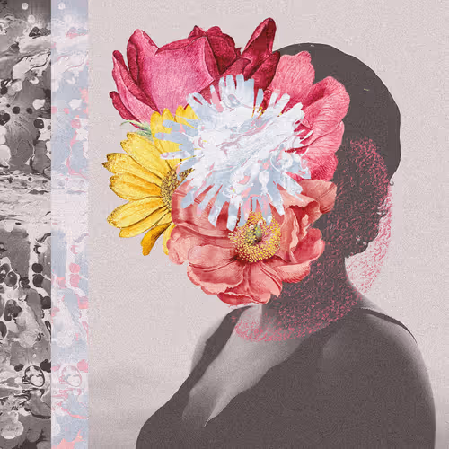 27333386789816835344148906342580632467599722745804748218939524085611006787585