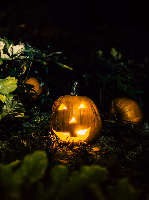 Item #11823596008958279649745844571271956333298936525700857190365538021686254764033 Media