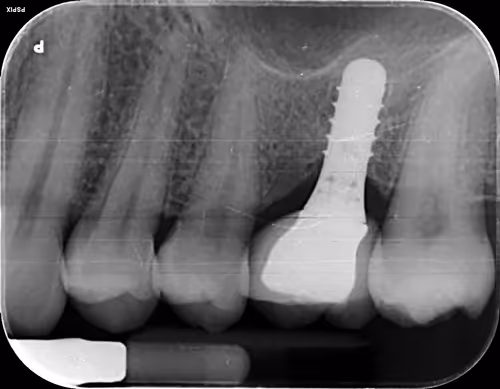 Item #11780915356901891937150191052604117223978980698243640119023280905860285464577 Media